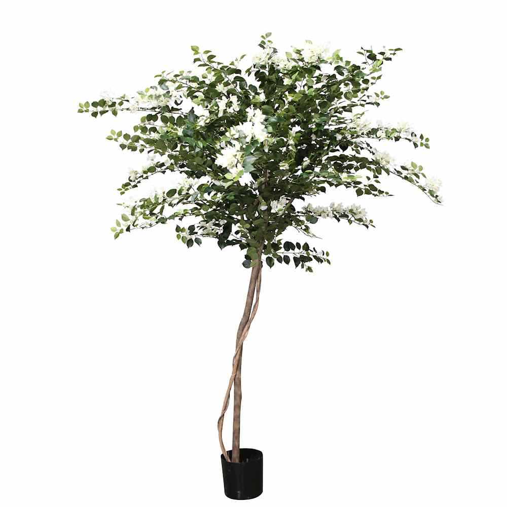 P1790-PTD ASIAN BOUGAINVILLEA TREE W/2940LVS  WH