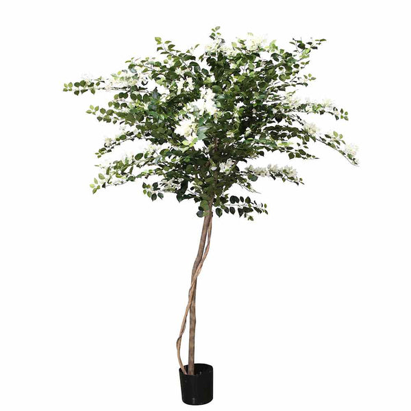 P1790-PTD ASIAN BOUGAINVILLEA TREE W/2940LVS  WH