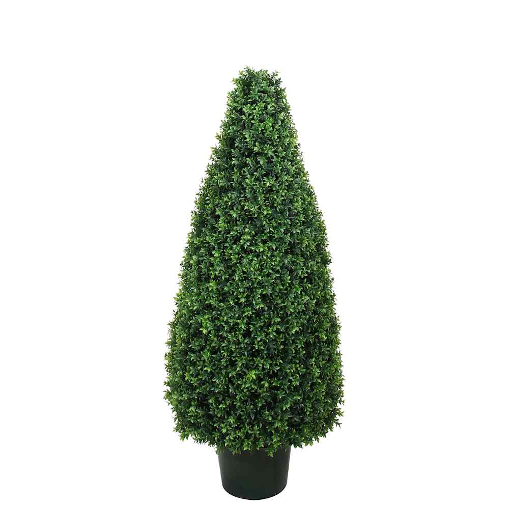 P3024C-BASIL CONE TOPIARY