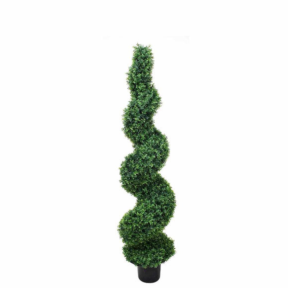 P3024S-SPIRAL BASIL TREE