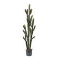 P6102-SILVER CACTUS