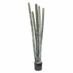 P6104-COLUMNAR CACTI