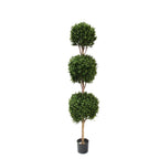 PP4036TB-BOXWOOD TRIPLE BALL TREE