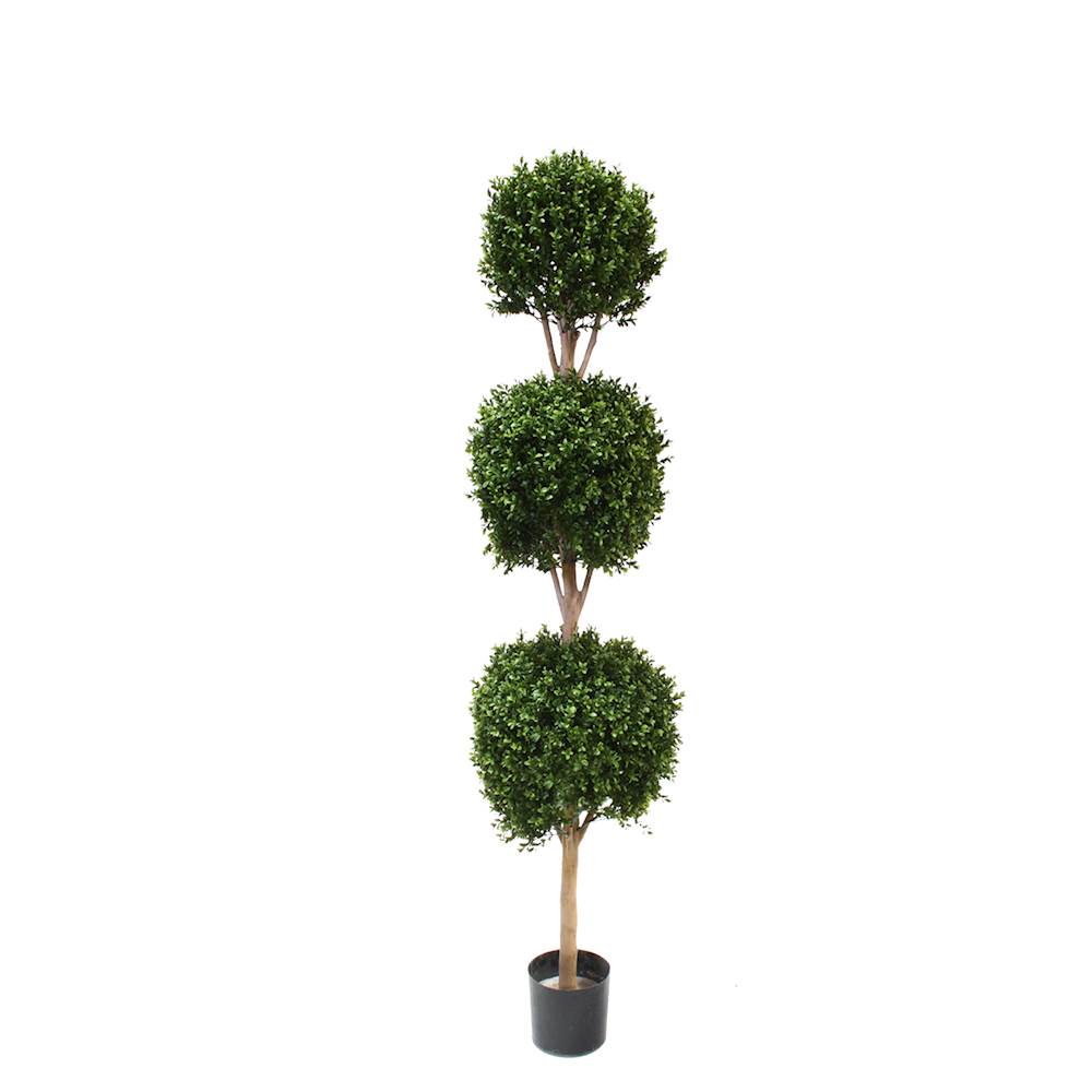 PP4036TB-BOXWOOD TRIPLE BALL TREE