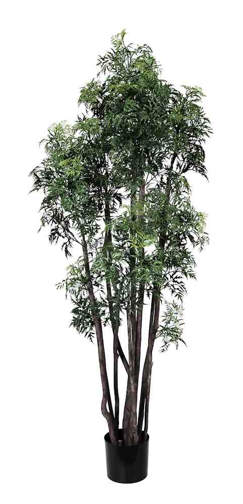 PP4045-MING ARAILIA TREE W/180 CLUSTER LVS (UV/OUTDOOR)