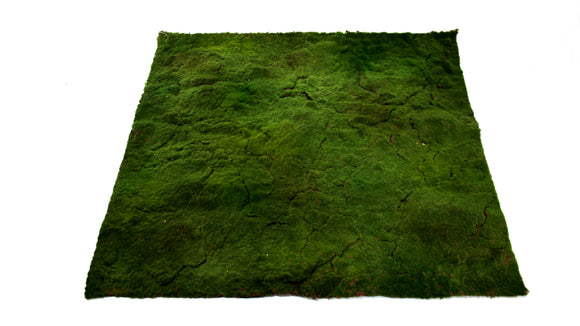 Miscellaneous-Mats-Moss Mat