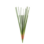 A3026 - CATTAIL LEAVES