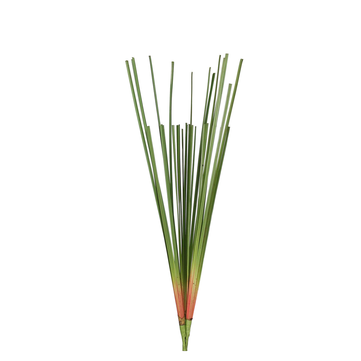 A3026 - CATTAIL LEAVES