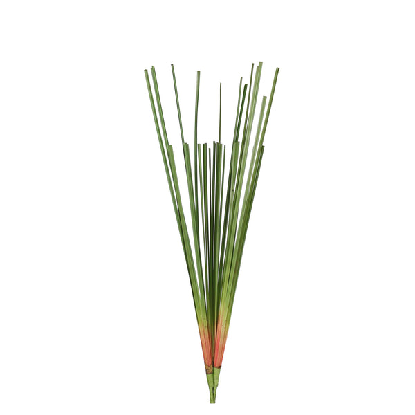 A3026 - CATTAIL LEAVES