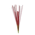 A3026 - CATTAIL LEAVES