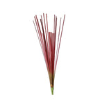 A3026 - CATTAIL LEAVES