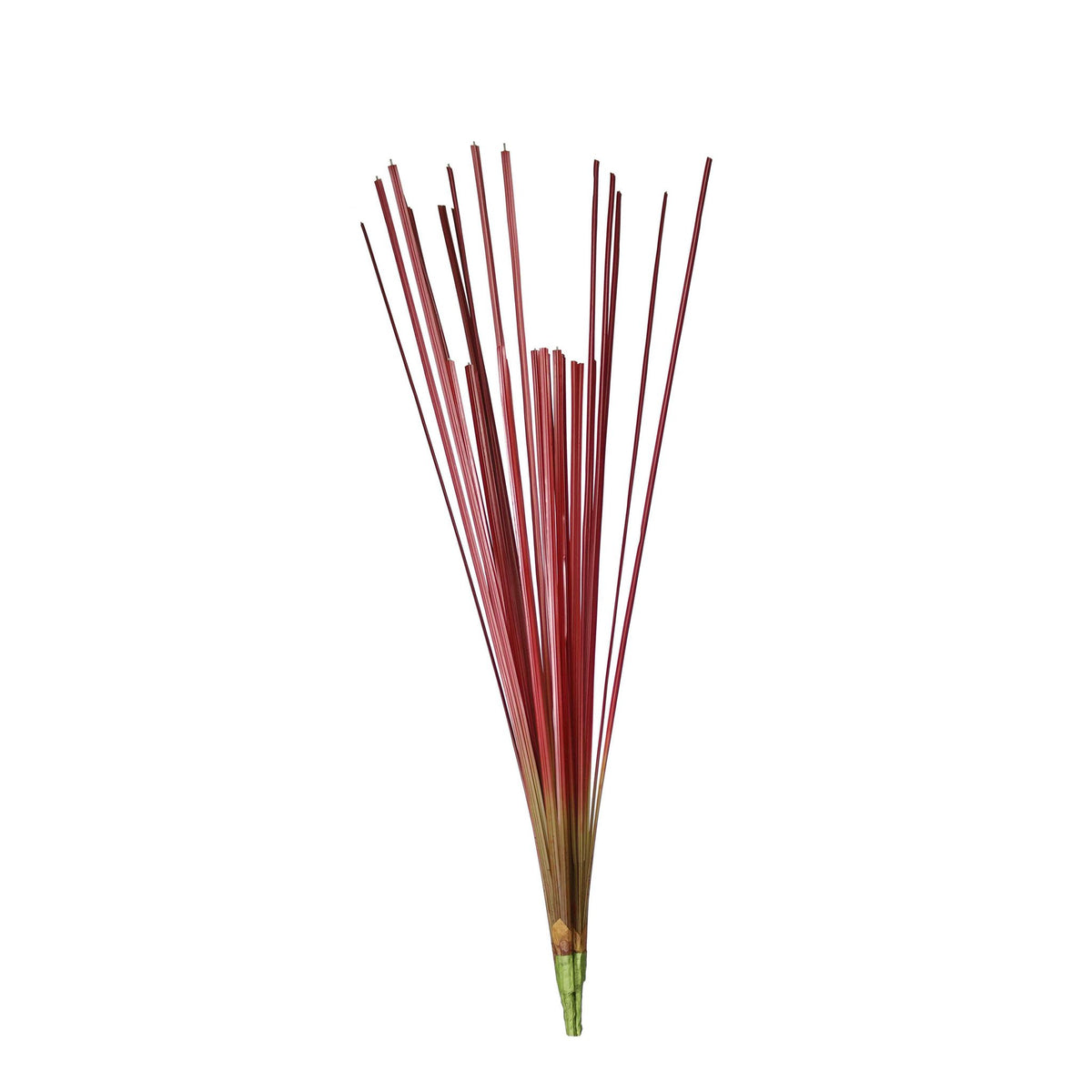 A3026 - CATTAIL LEAVES
