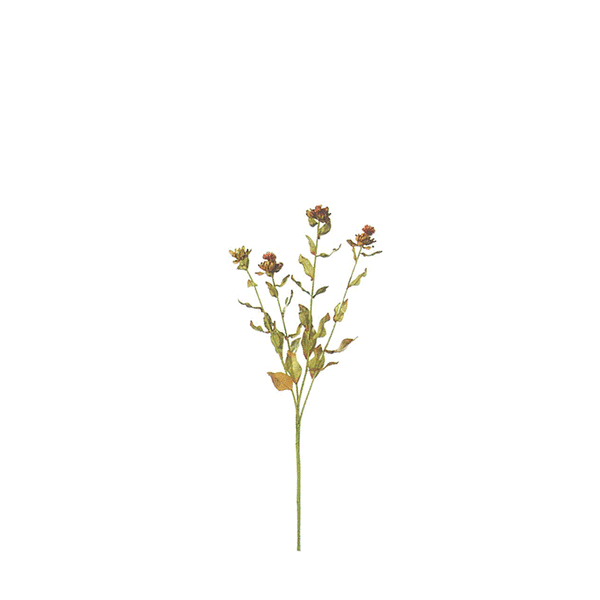 A3107 - THISTLE SPRAY          RDOR