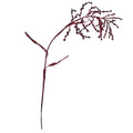 A4205-WILD RICE BURGUNDY