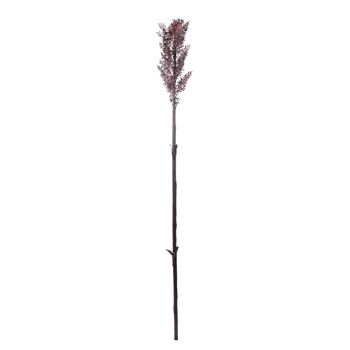 A5134-BROOMHORN STEM DARK BROWN