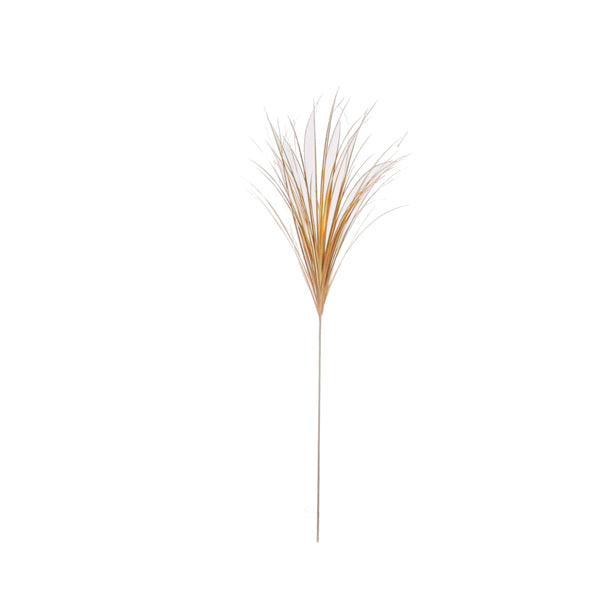 A5148-SMCM -ONION GRASS SPRAY