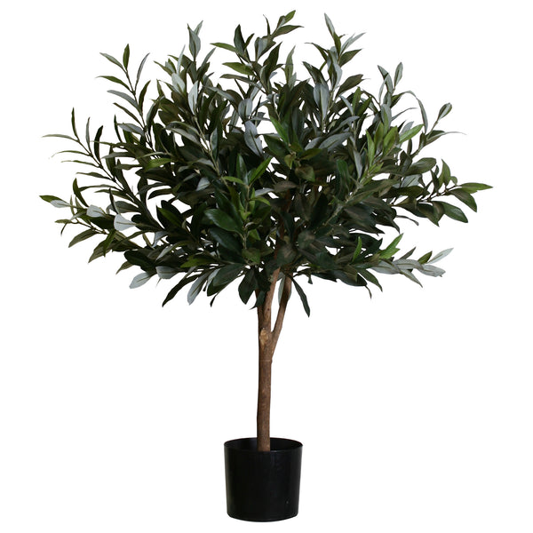 P1404-OLIVE TREE