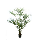 P1422 - PTD KENTIA PALM