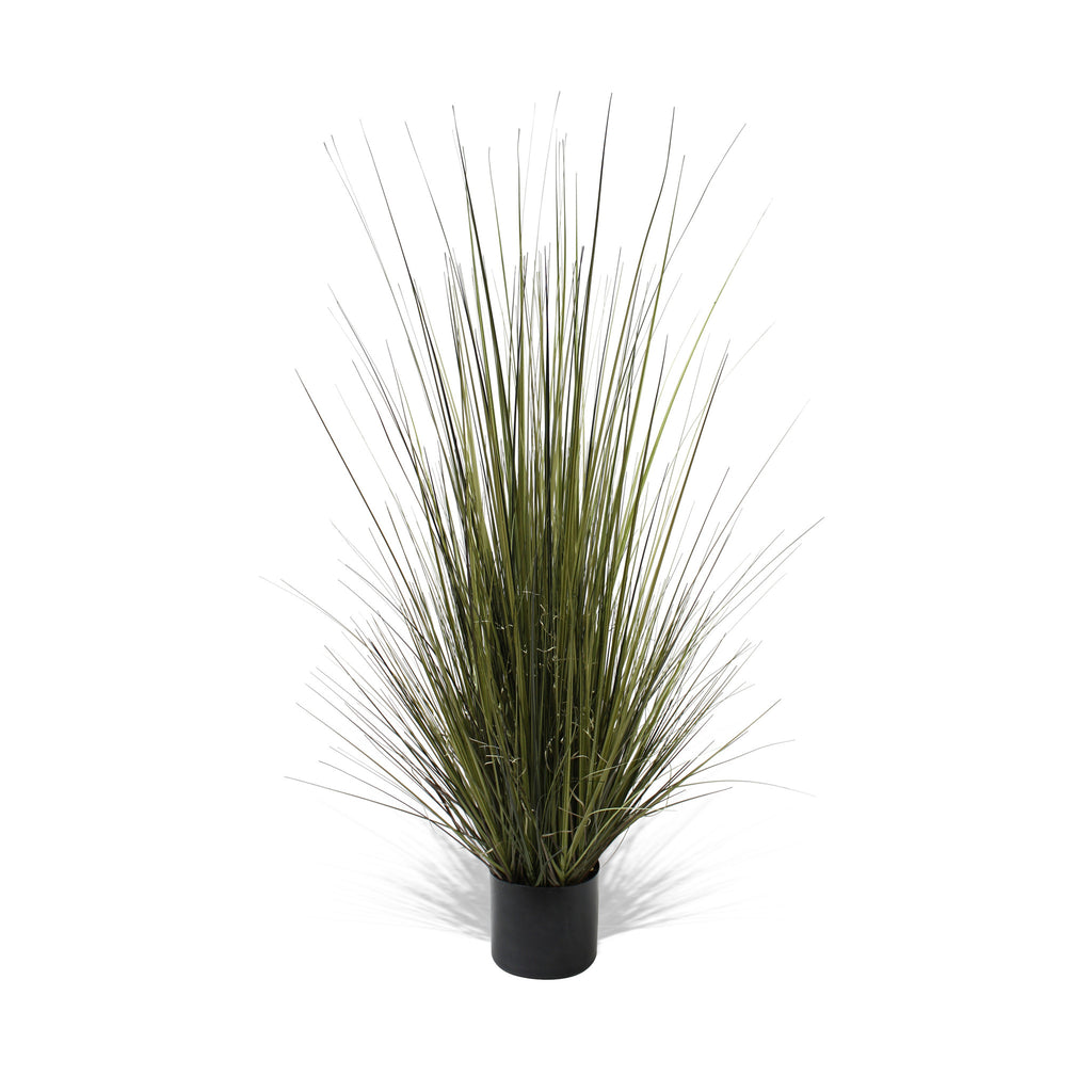 P1517-GRASS