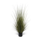 P1517-GRASS
