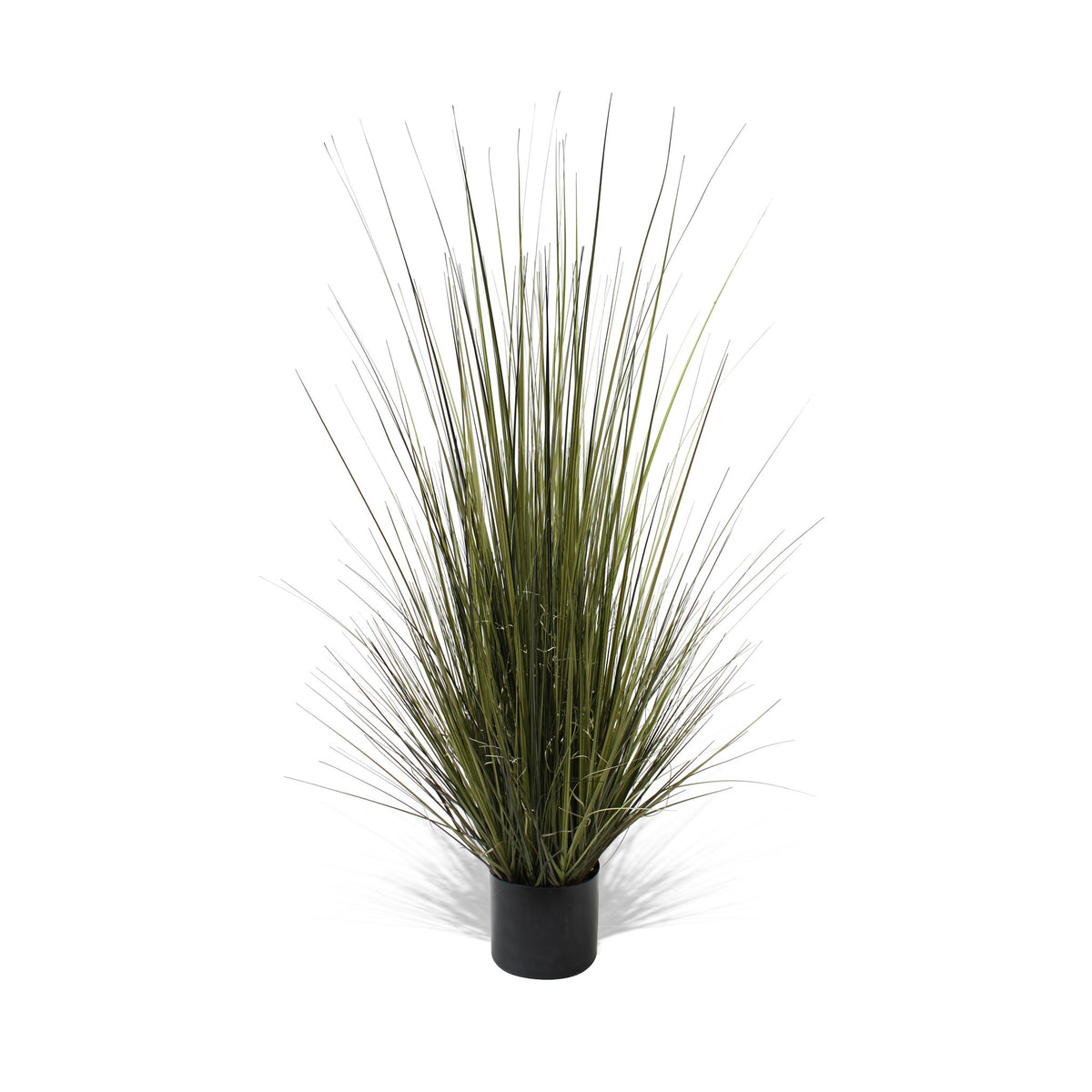 P1517-GRASS