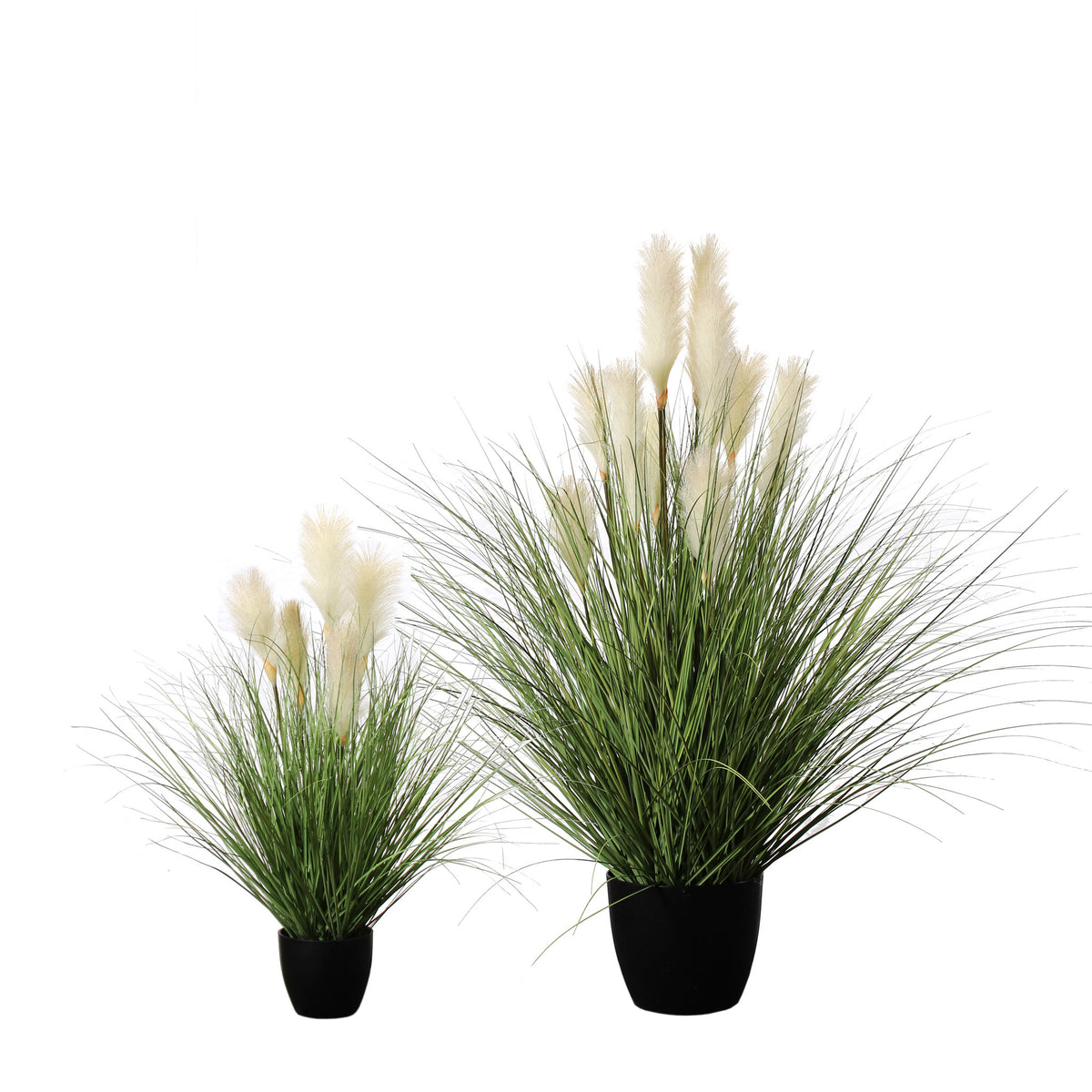 P1527R-REED RIVER GRASS