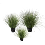 P1539R-SPOTTED RIVER GRASS