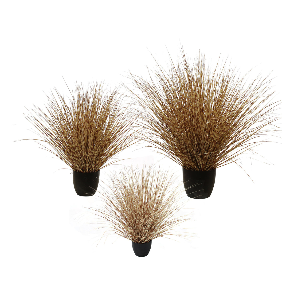 P1541R-LEOPARD RIVER GRASS