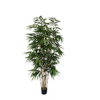 P1730-PANDA BAMBOO TREE