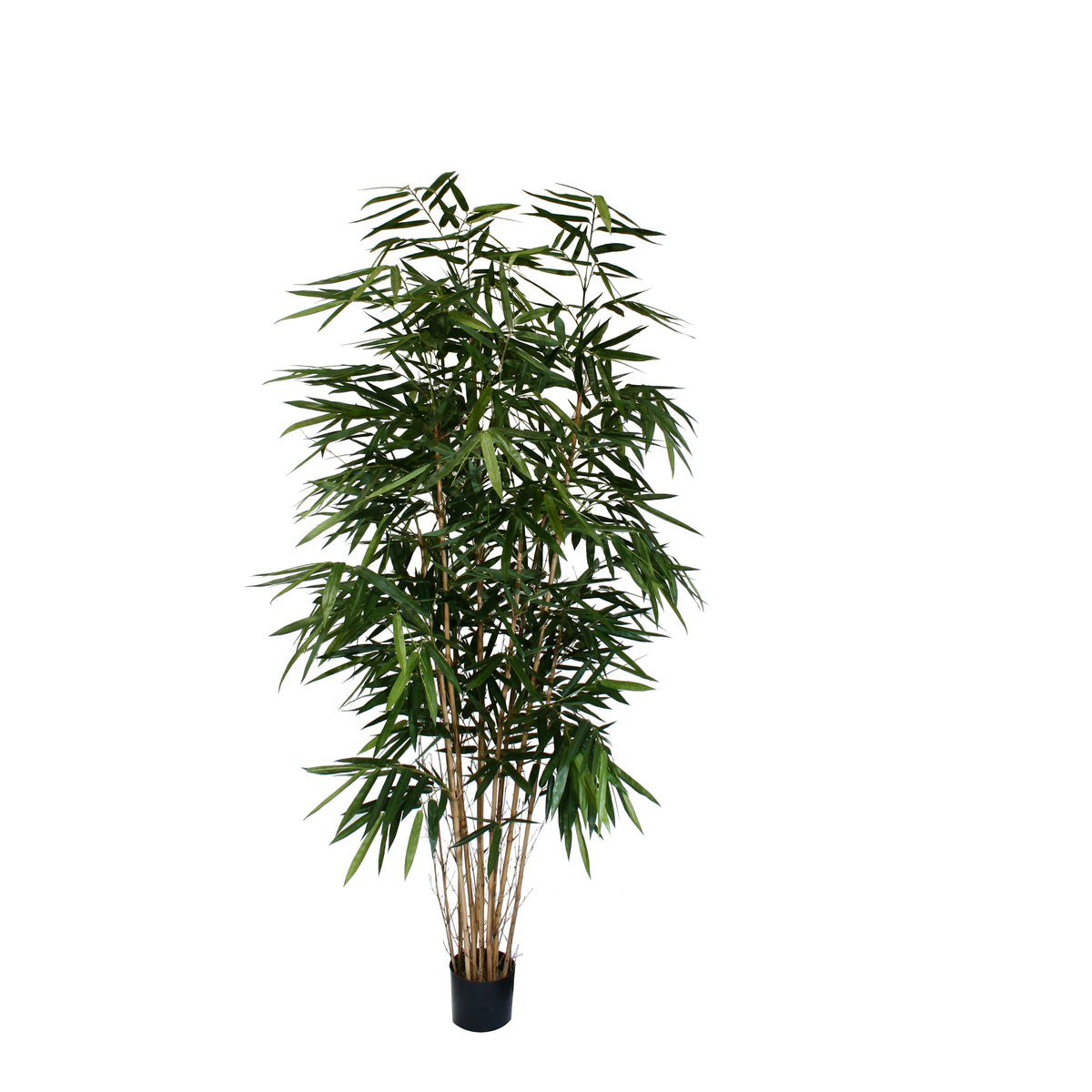 P1730-PANDA BAMBOO TREE