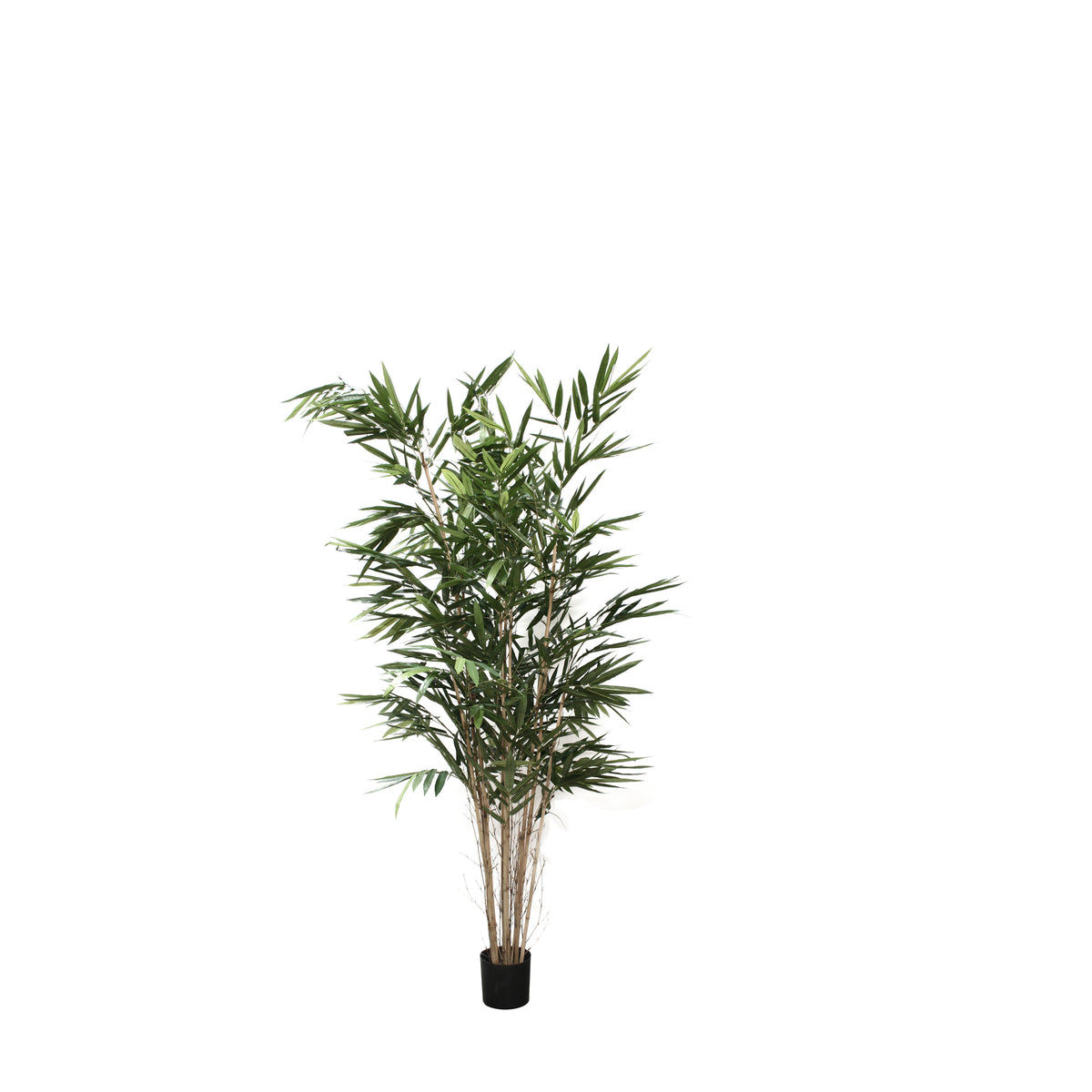 P1730-PANDA BAMBOO TREE
