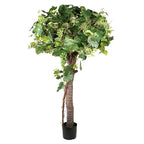 P1734A-CHILEAN GRAPE PLANT