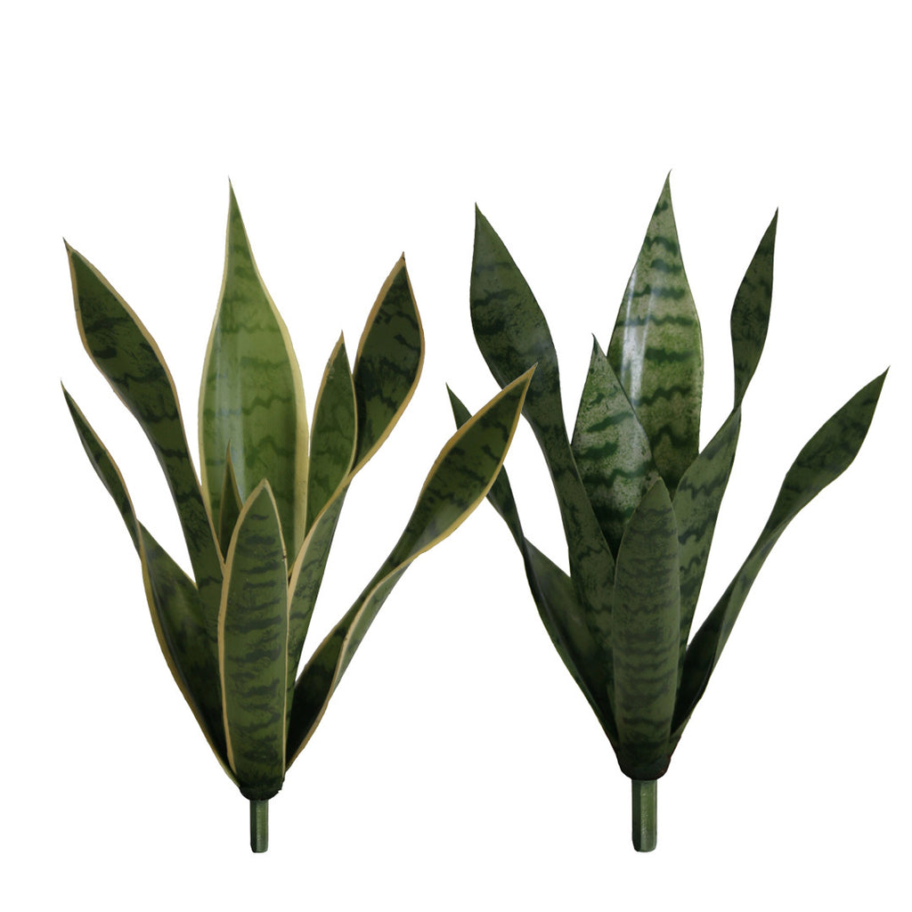 P1763N-BABY SANSERVERIA BUSH
