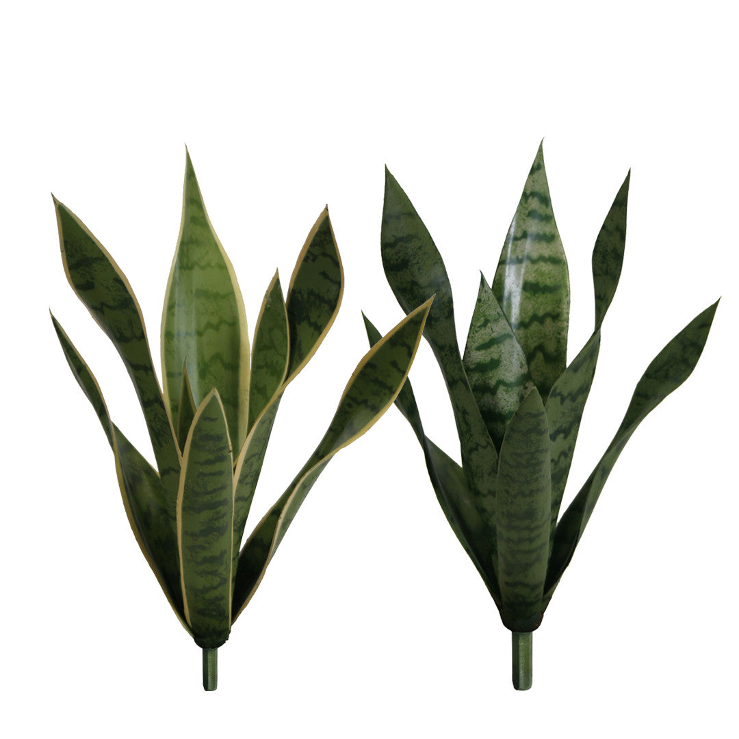 P1763N-BABY SANSERVERIA BUSH