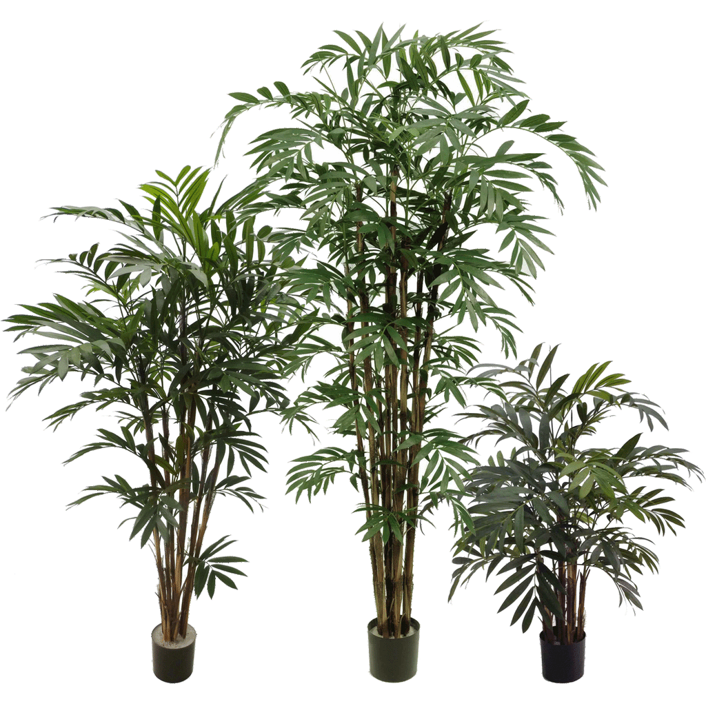 P1796-NEW BAMBOO PALM
