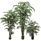 P1796-NEW BAMBOO PALM