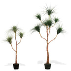 P1832-RAIN TREE