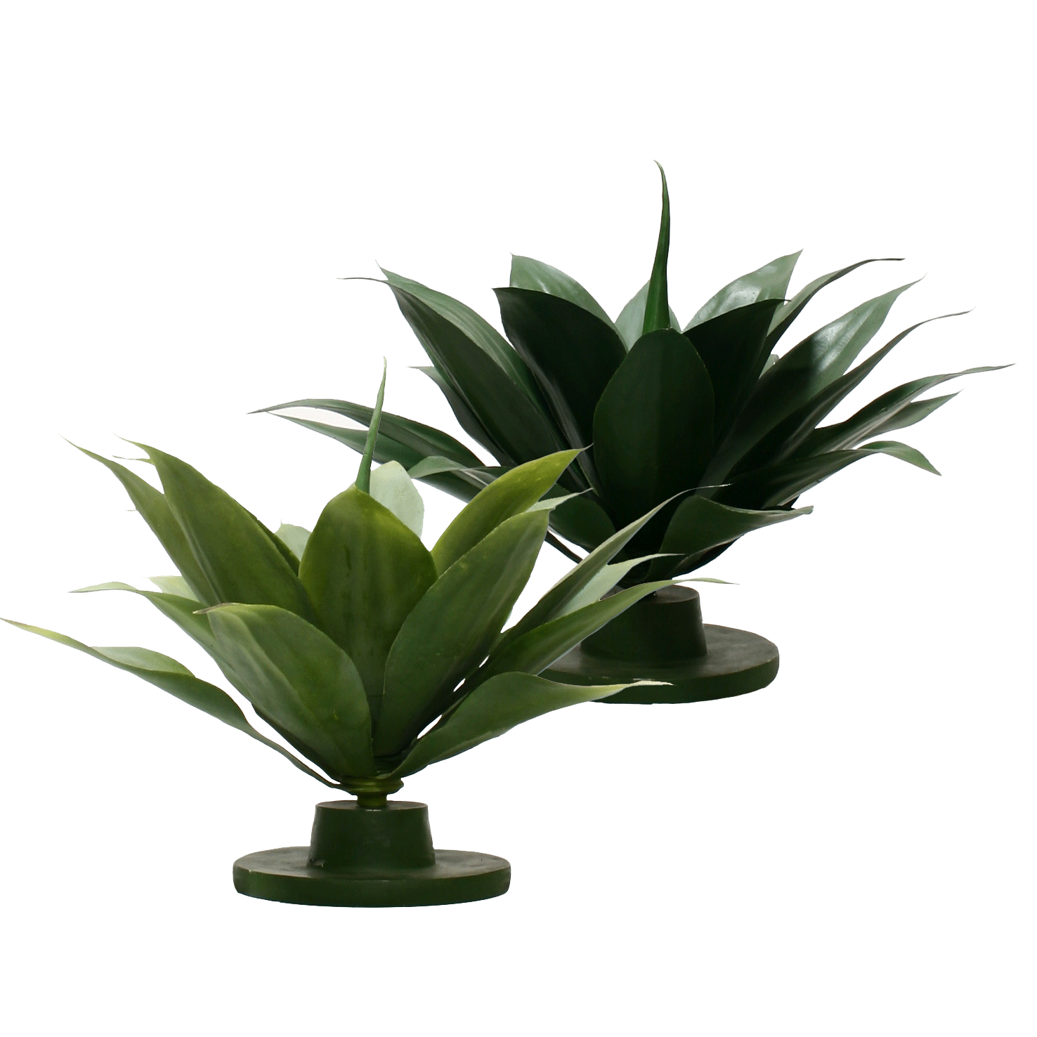 P2835-GREEN AGAVE