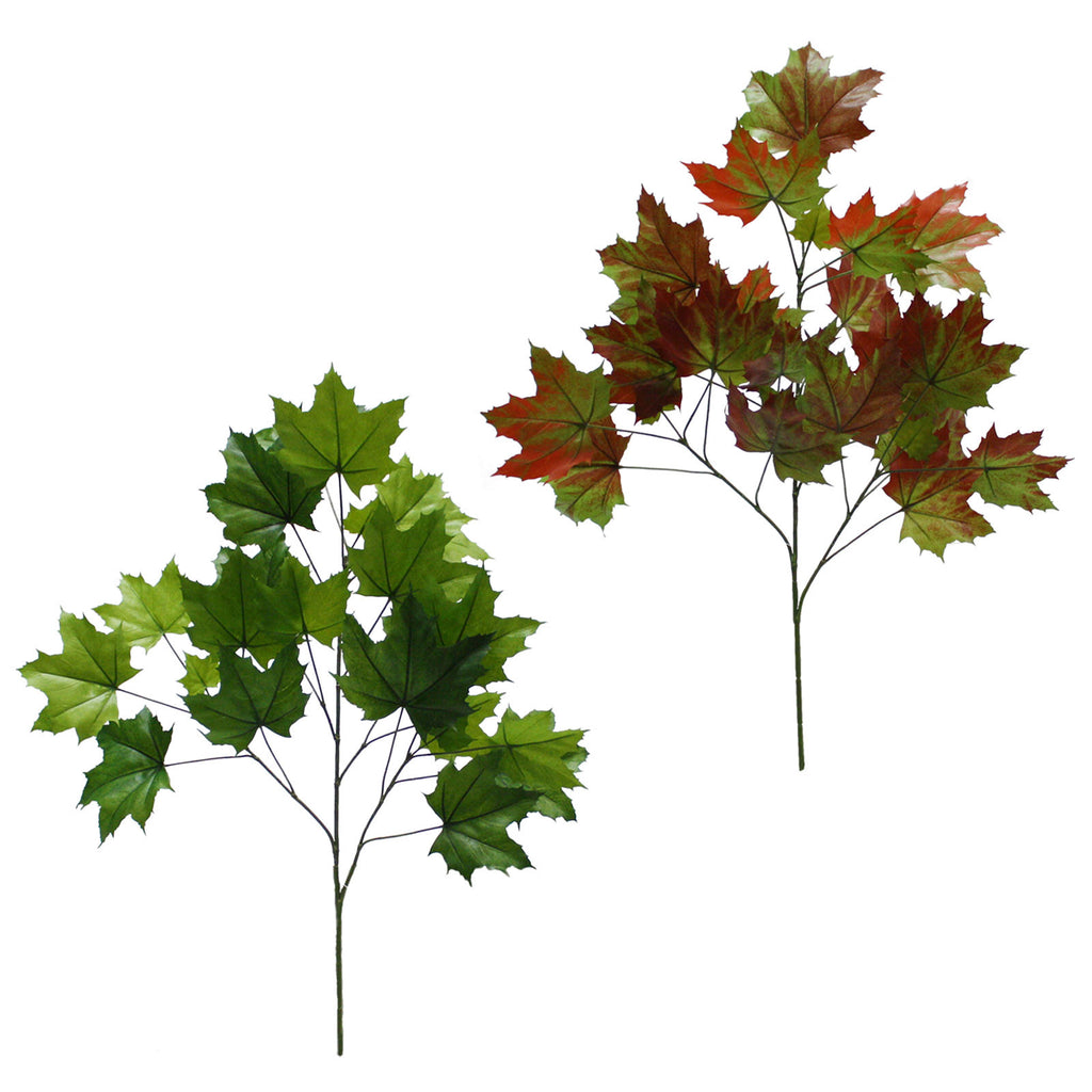 P2862-SUGAR MAPLE SPRAY