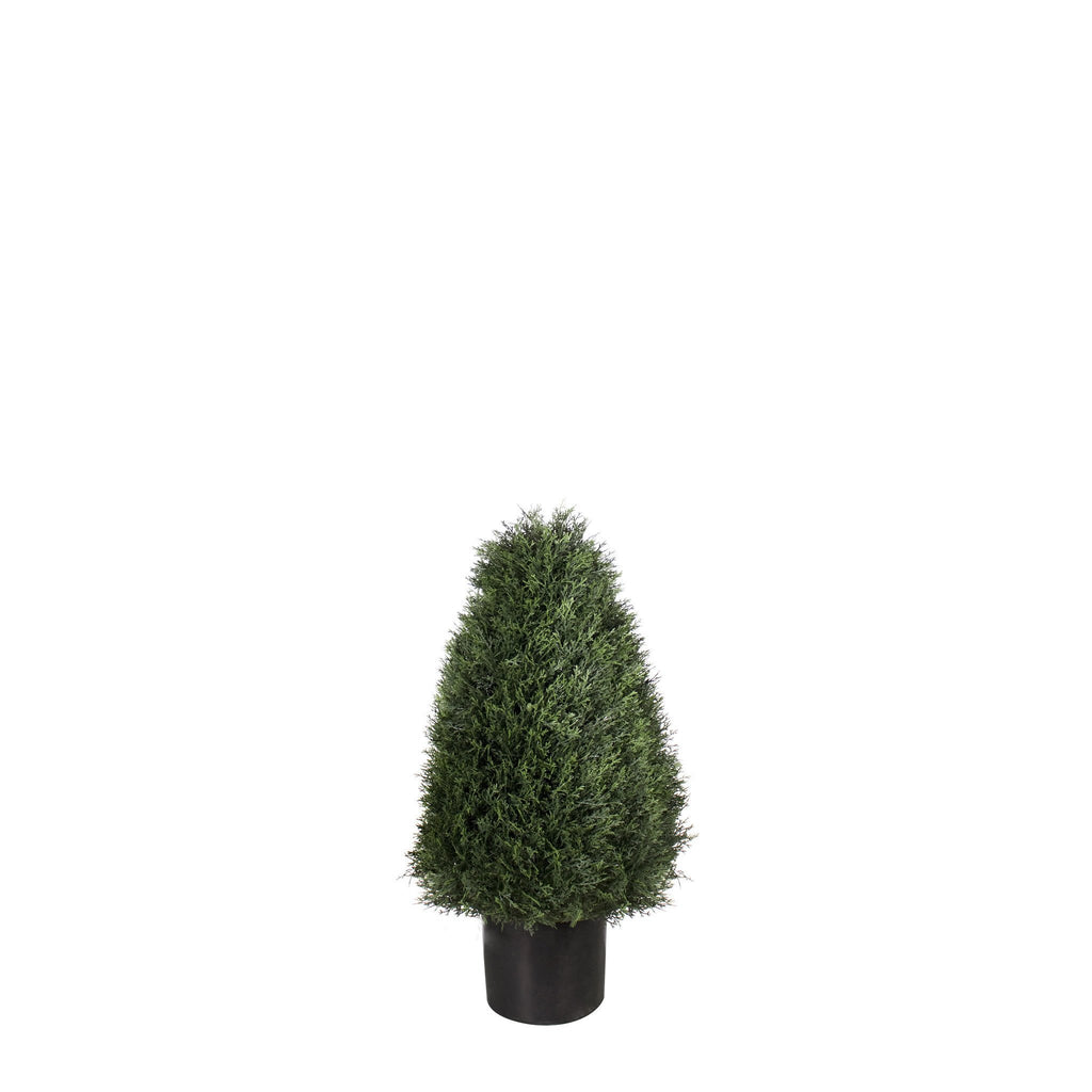 P3021-POND CYPRESS TOPIARY