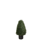 P3021-POND CYPRESS TOPIARY