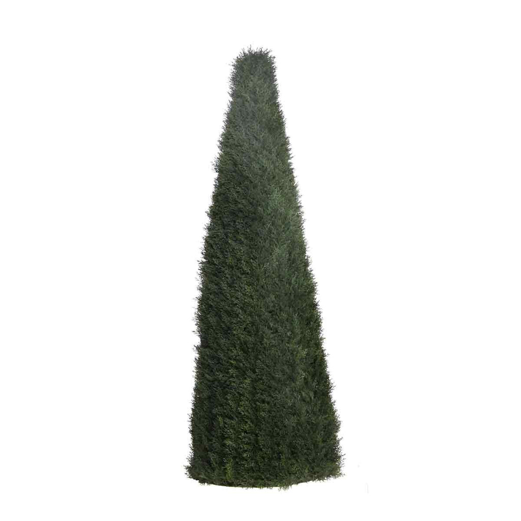 P3021N - UNPTD POND CYPRESS TOPIARY W