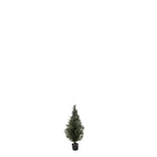 P3022-MINI CEDAR PINE TREE