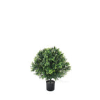 P3024-BASIL TOPIARY W/874LVS (UV/OUTDOOR)