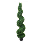 P3024S-SPIRAL BASIL TREE