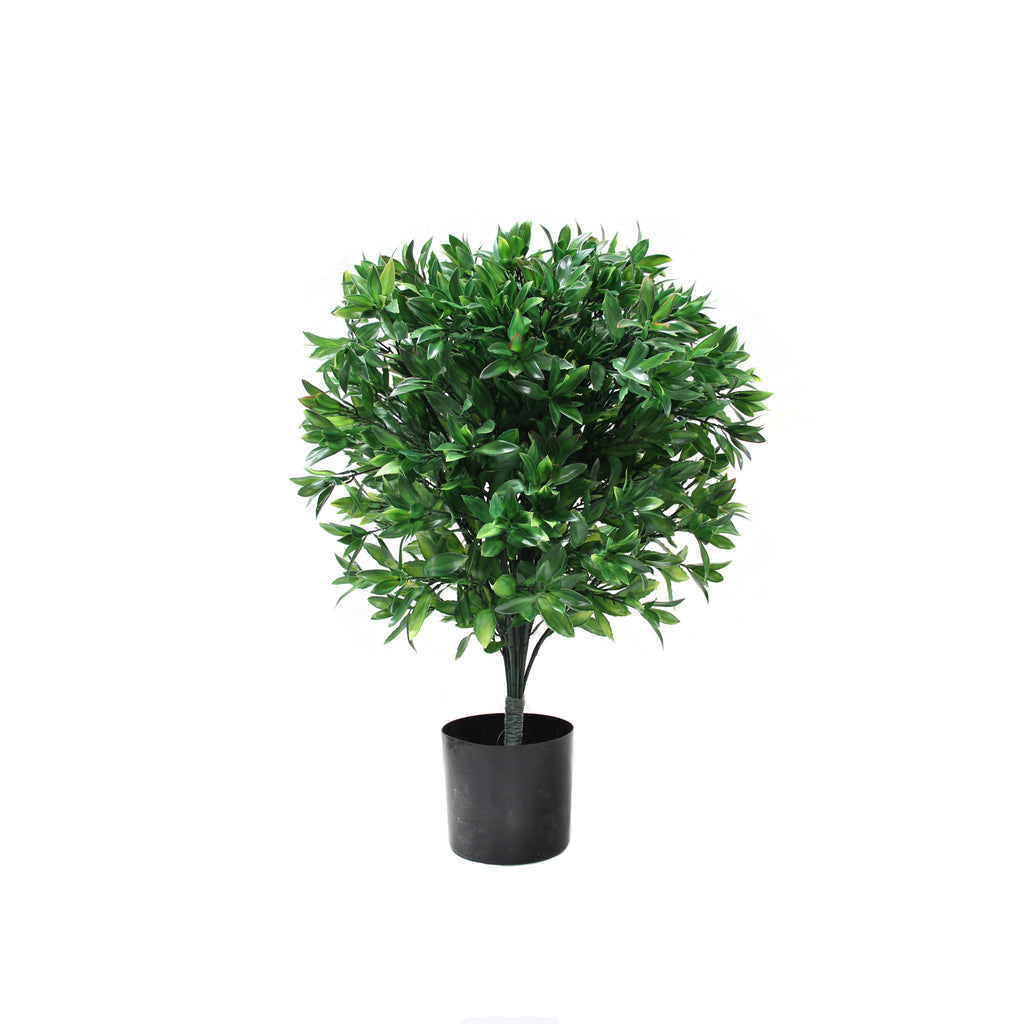 P3028-LAUREL