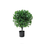 P3028-LAUREL