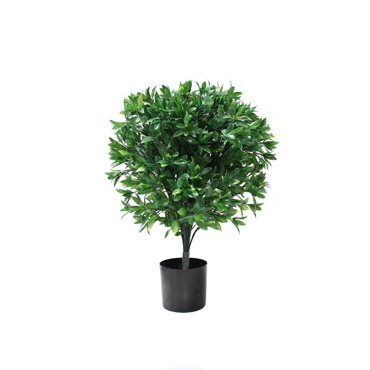 P3028-LAUREL