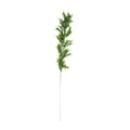 PP1020 - MINI BOXWOOD SPRAY W/40 LVS