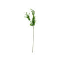 PP1028 - ANACHARIS SPRAY X3 W27 LVS & FL
